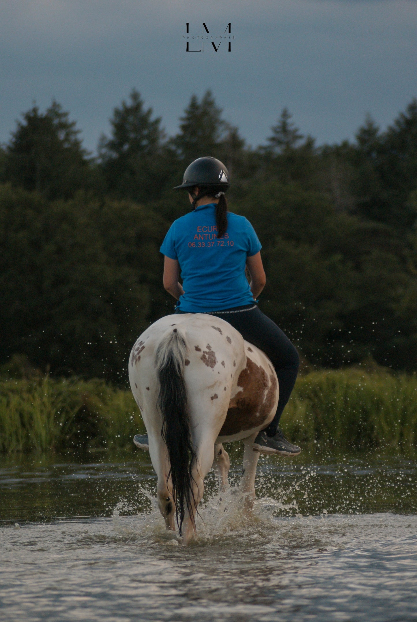 Polo manches courtes enfant & adulte